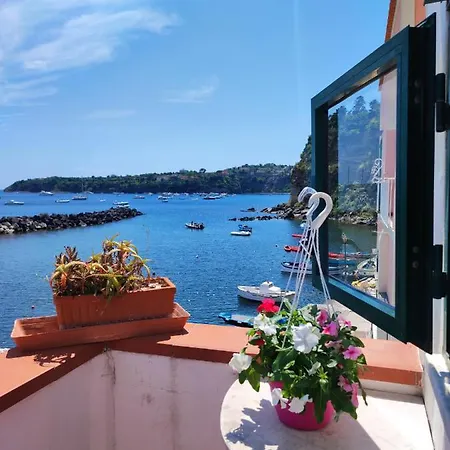 La Casa Di Nonna Rosa Apartment Procida Exterior photo