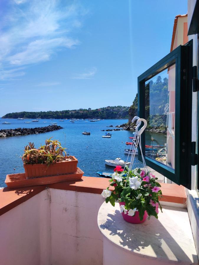 La Casa Di Nonna Rosa *